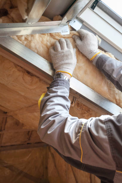 Best Insulation Maintenance and Repair in Brownfield, TX