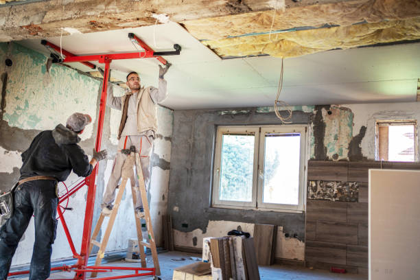 Best Geographic-Specific Insulation Services in Brownfield, TX