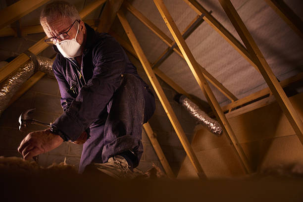 Best Geographic-Specific Insulation Services in Brownfield, TX